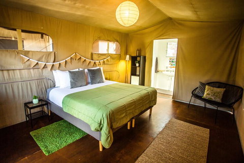 The Beachcamp Eco Retreat - Tourism Gold Coast 2