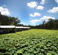 The Boathouses at Leaves  Fishes - Tourism Gold Coast