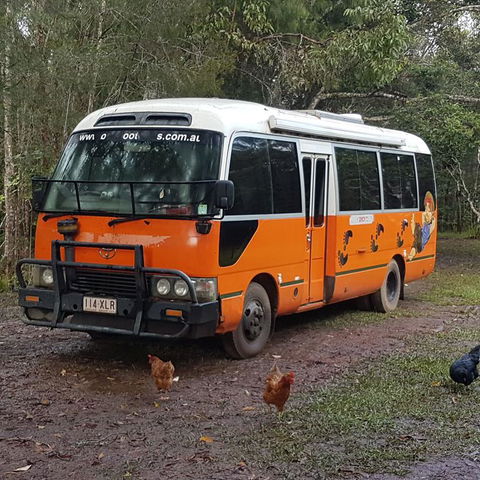 The Cabin - Tourism Gold Coast 3