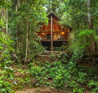 The Canopy Rainforest Treehouses  Wildlife Sanctuary - Tourism Gold Coast