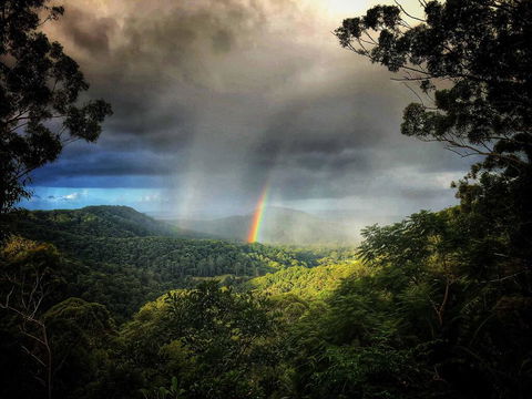 The Den Of The Treehouse, KINABALU Farm - Gold Coast 0
