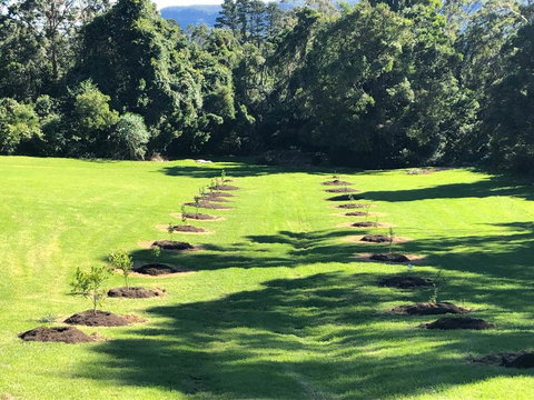 The Drawing Rooms Of Berry - Gold Coast 3