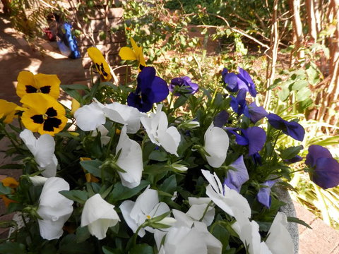 The Hideaway Luxury B&B Retreat - Gold Coast 1