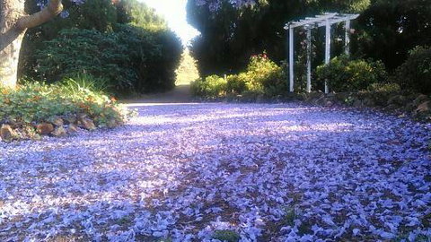 The Old Church Bed And Breakfast - Tourism Gold Coast 2