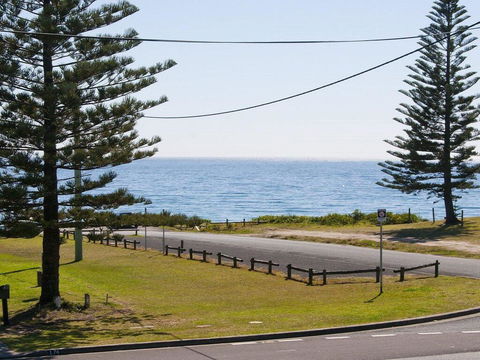 The Penguins Head - Across From The Beach - Tourism Gold Coast 0