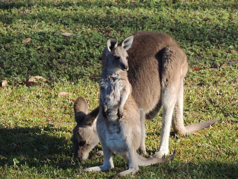 The Pouch B & B - Tourism Gold Coast 2