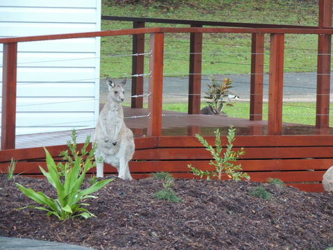 The Pouch B & B - Tourism Gold Coast 1