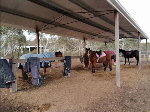 The Saddle Camp Tiny House, Braidwood - Tourism Gold Coast 1