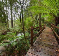 The Source Otways - Tourism Gold Coast