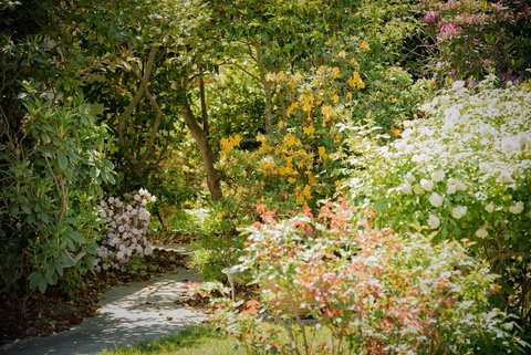 The White House - Tourism Gold Coast 2