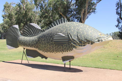 Tocumwal Hotel Motel (The Palms) - Tourism Gold Coast 1