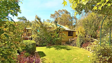 Treetops Escape - Tourism Gold Coast 2