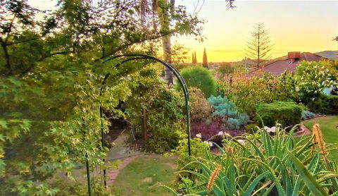 Treetops Escape - Tourism Gold Coast 1
