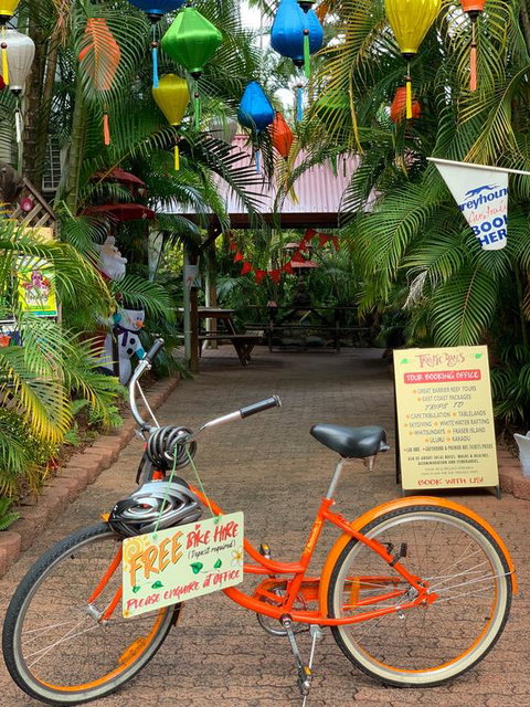 Tropic Days Boutique Hostel - Tourism Gold Coast 3