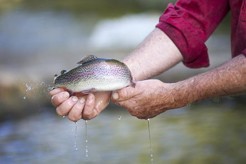 Tuki Retreat - Tourism Gold Coast 2