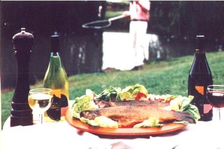 Tuki Retreat - Tourism Gold Coast 3