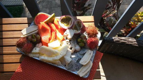 Turtle Reef Bed & Breakfast Cairns - Tourism Gold Coast 2