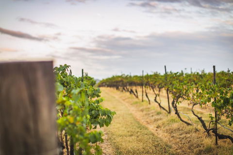 Unlax @ Hunter Valley - Tourism Gold Coast 3