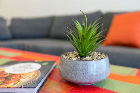 Urban Jungle! Executive Apartment In Heart Of CBD - Tourism Gold Coast 1