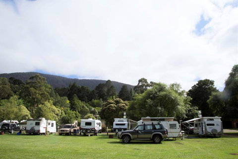 Warburton Holiday Park - Tourism Gold Coast 0