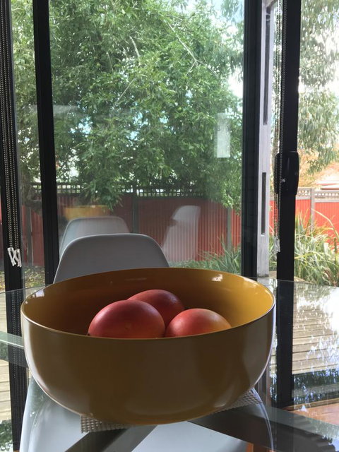 Daydream Cottage - Gold Coast 19