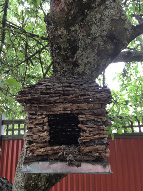 Daydream Cottage - Gold Coast 18