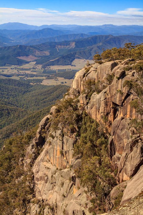 Alpine Aspects - Tourism Gold Coast 24