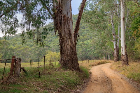 Alpine Aspects - Tourism Gold Coast 10