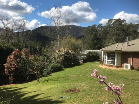 Alpine Aspects - Tourism Gold Coast 23