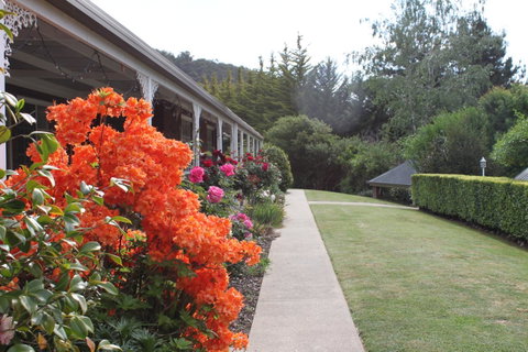 Alpine Aspects - Tourism Gold Coast 34