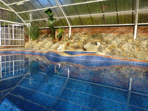 Alpine Aspects - Tourism Gold Coast 39