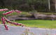 Marwood Villas - thumb 35