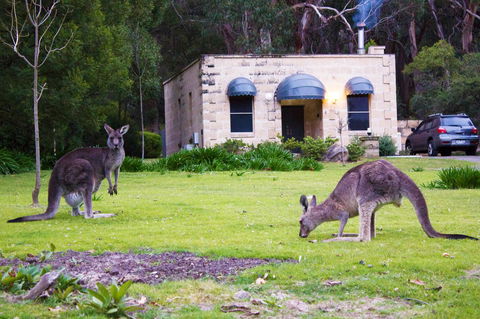 Marwood Villas - Tourism Gold Coast 31