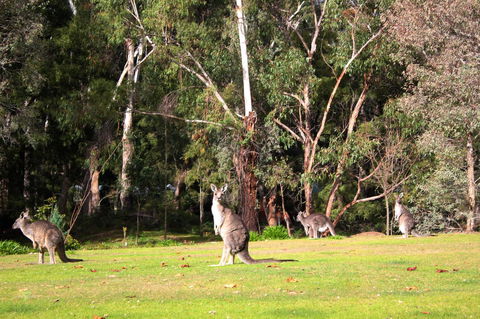 Marwood Villas - Tourism Gold Coast 28