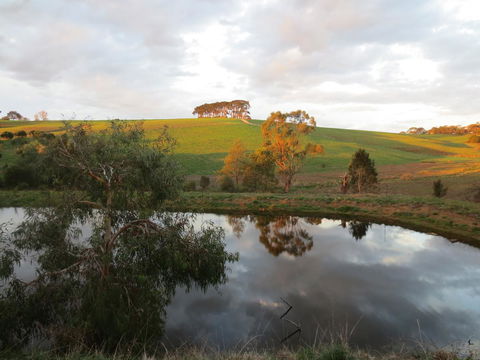 Walnut Cottage Via Leongatha - Tourism Gold Coast 10
