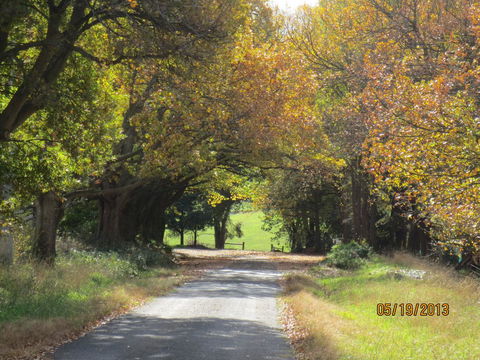 Walnut Cottage Via Leongatha - Tourism Gold Coast 11