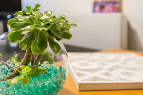 Melbourne Villa - Tourism Gold Coast 15