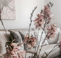 Bed of Roses - Tourism Gold Coast