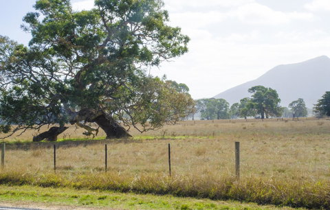 Corrugated Cottage - Gold Coast 4