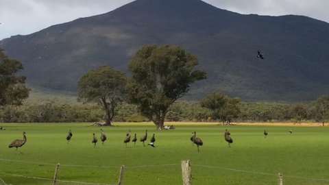 Corrugated Cottage - Gold Coast 23
