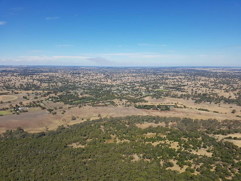 Corrugated Cottage - Gold Coast 24