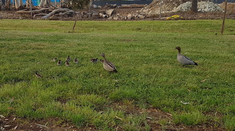 Corrugated Cottage - Gold Coast 25