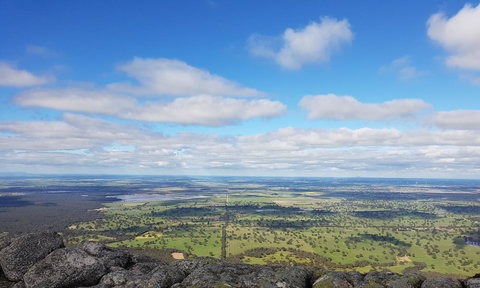 Corrugated Cottage - Gold Coast 27