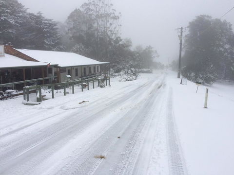 Tarra Bulga Guesthouse - Tourism Gold Coast 8