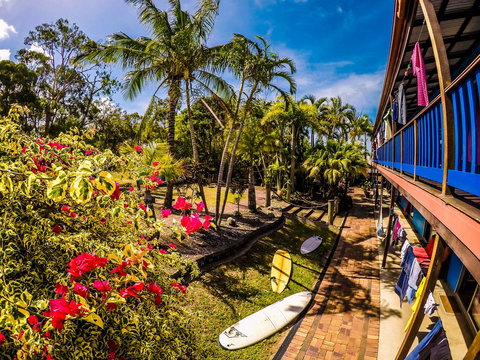 Cool Bananas Backpackers - Gold Coast 17