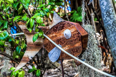 Cool Bananas Backpackers - Gold Coast 24