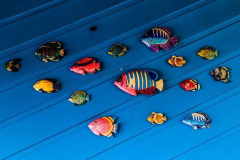 Cool Bananas Backpackers - Gold Coast 20