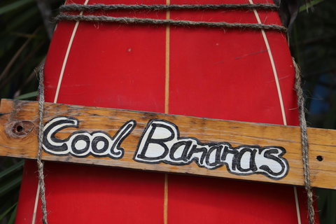 Cool Bananas Backpackers - Gold Coast 41