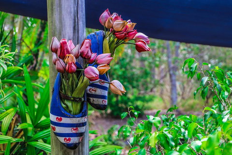 Cool Bananas Backpackers - Gold Coast 26