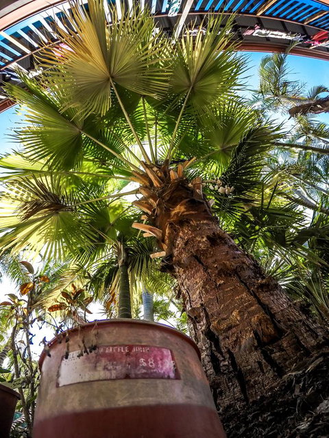 Cool Bananas Backpackers - Gold Coast 14